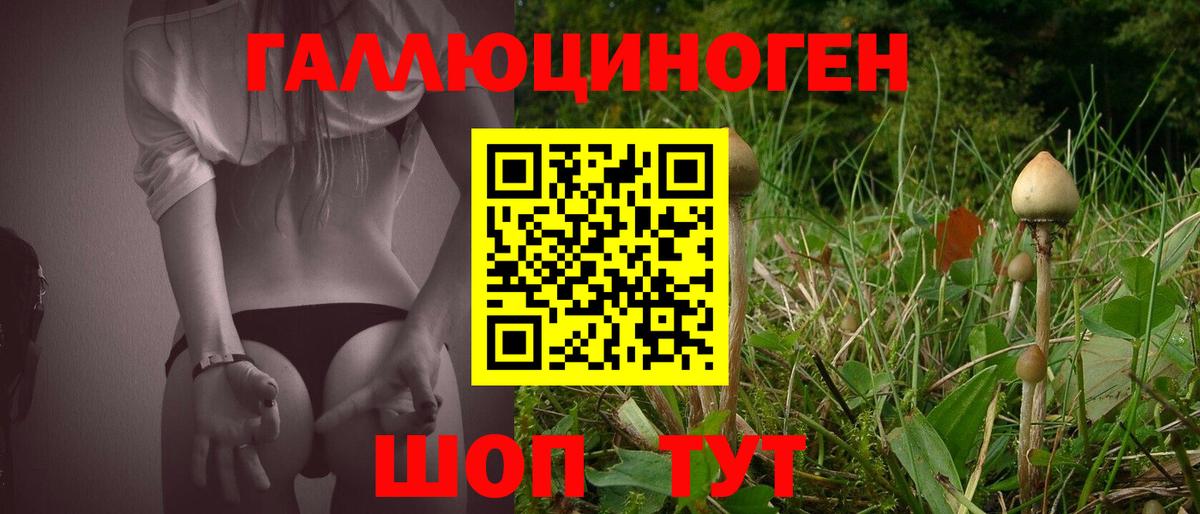 Галлюциногенные грибы мицелий  Вход с VPN  Кемерово 